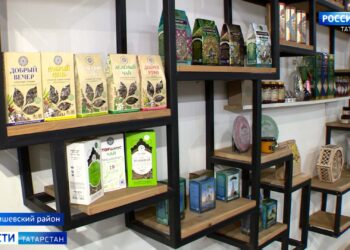 Участники «Школы фермера» отправились узнавать секреты успеха к аграриям