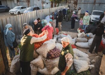 сбор урожая