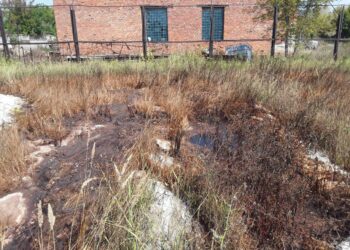 В Бугульме возбудили уголовное дело из-за порчи земель