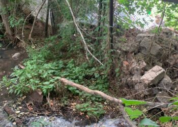 Мензелинский районный суд обязал собственников земельных участков, загрязнивших почву, возместить ущерб