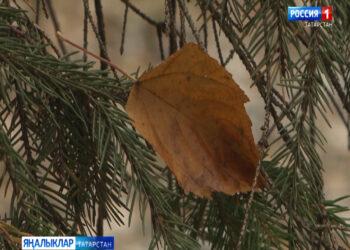 Урыны белән яңгыр, җепшек кар явуы ихтимал