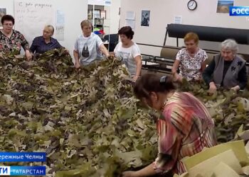 Ильмира Гарданова, признанная виновной в гибели своей семьи, отправится за решетку на 13 лет