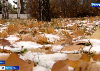 Синоптики рассказали, когда в Татарстане образуется устойчивый снежный покров