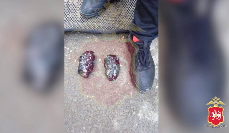 Фото: скриншот видео https://t.me/mvdtatarstana