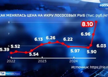 Татарстанцам рассказали, сколько будет стоить икра к Новому году