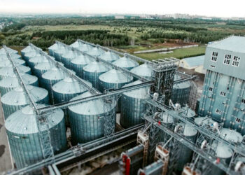 Татарстан повысил экспорт масложировой продукции на 16 млн долларов