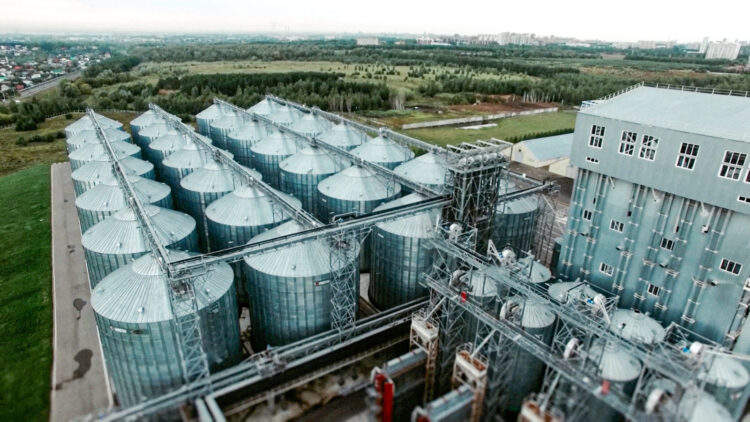 Фото: agro.tatarstan.ru