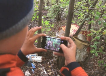 С начала года Минэкологии РТ рассмотрело и решило свыше 8 тыс. обращений жителей