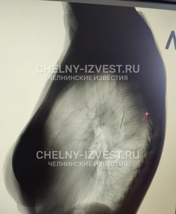 Фото: chelny-izvest.ru