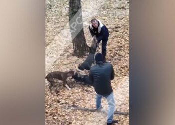 Вести. Татарстан (02.12.24 14:30)