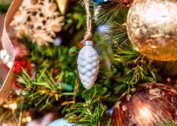 Как украсить елку, в чем встречать Новый год и что приготовить: нумеролог поделилась советами, как правильно встретить 2025 год