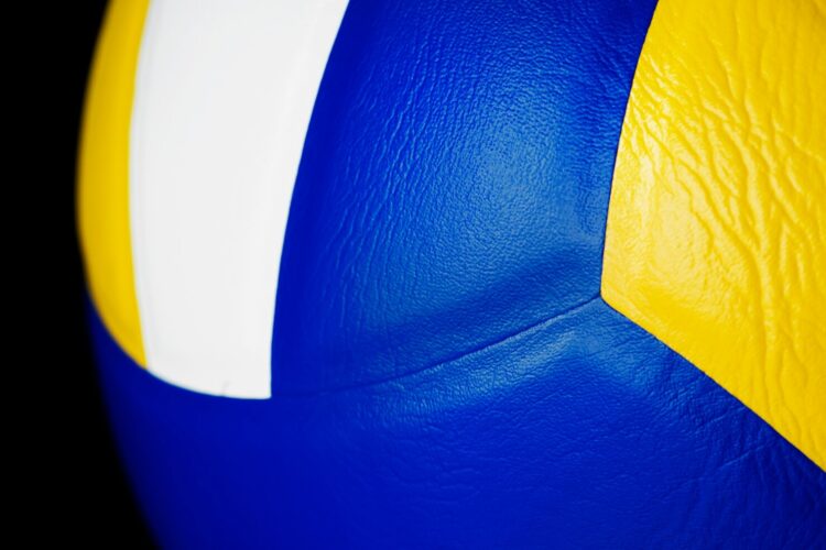 Фото: freepik
