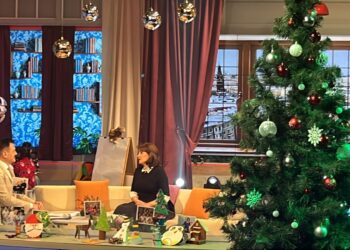 В Татарстане стартовал 12-часовой новогодний телемарафон «С Новым годом, семья!»