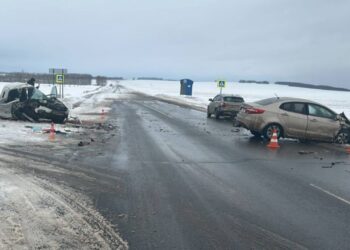 В Чистопольском районе произошло смертельное ДТП