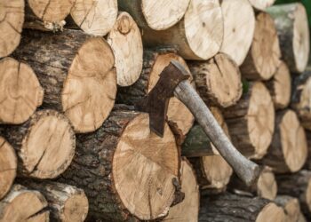 Под Белгородом инвалид получил дрова после звонка на прямую линию Путина