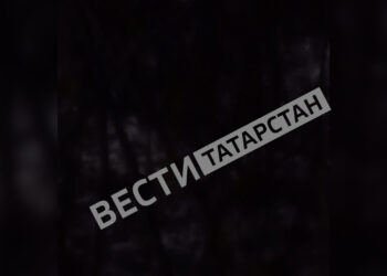 Жители Елабуги пожаловались на сброс канализации недалеко от центрального парка