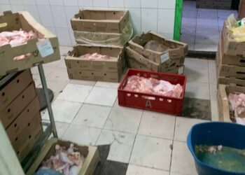 В Казани против организации возбудили уголовное дело за нарушение санитарных норм