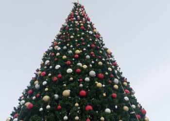 Как украсить елку, в чем встречать Новый год и что приготовить: нумеролог поделилась советами, как правильно встретить 2025 год