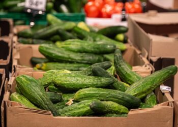 Огурцы в России подорожали на 10% за неделю
