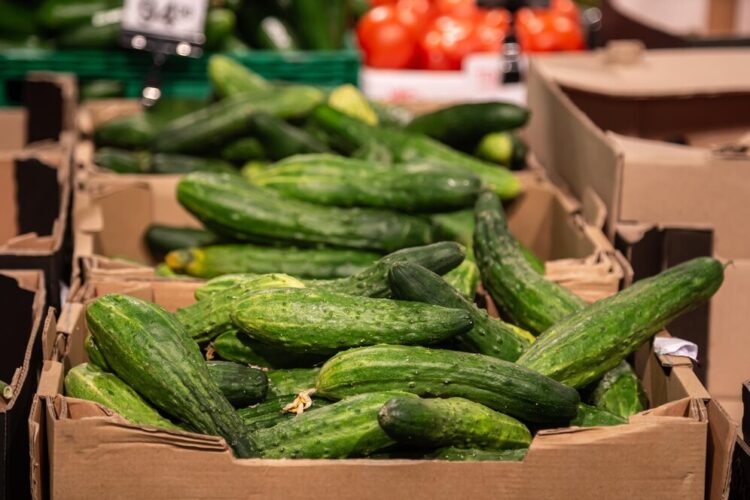 Фото: ru.freepik.com