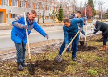 В Нижнекамске массово сажают тополя без пуха