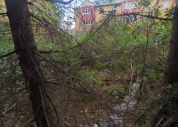 Арбитражный суд РТ обязал нарушителя возместить вред почве