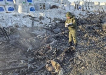 Генеральный директор ООО «Мир» и глава КФХ задержаны по делу о пожаре, унесшем жизни шести человек