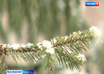 Юлларда  урыны белән көчле бозлавык