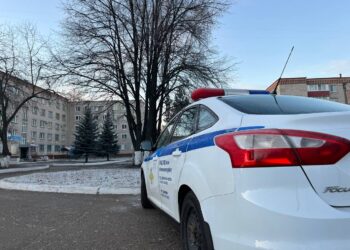 В Нижнекамске задержали водителя с поддельными правами