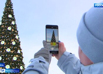 «Приятно смотреть на нее целыми днями: в парке «Елмай» установили новогоднюю елку