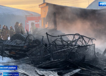 Шесть рабочих погибло на агроферме в Татарстане: подробности трагического пожара