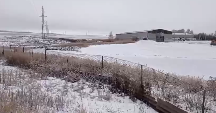 Фото: скриншот видео https://t.me/prokrt