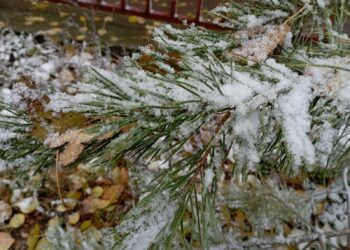 Утро на радио (05.12.24)