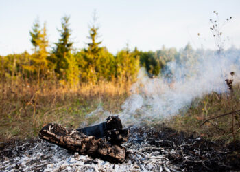 лесные пожары