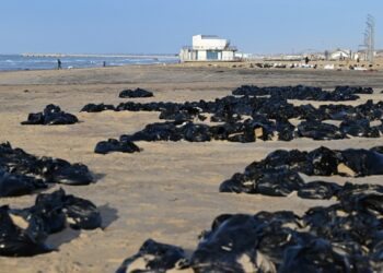 Путин поручил создать штаб по ликвидации разлива мазута в Керченском проливе