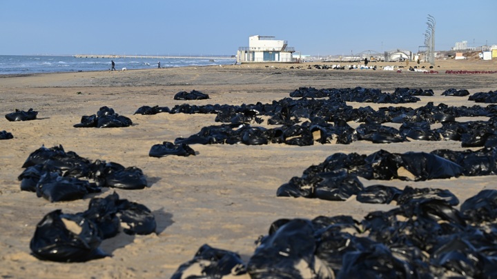 Фото: РИА Новости