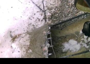 В Нижнекамске спасатели освободили собак, застрявших в бетонной трубе