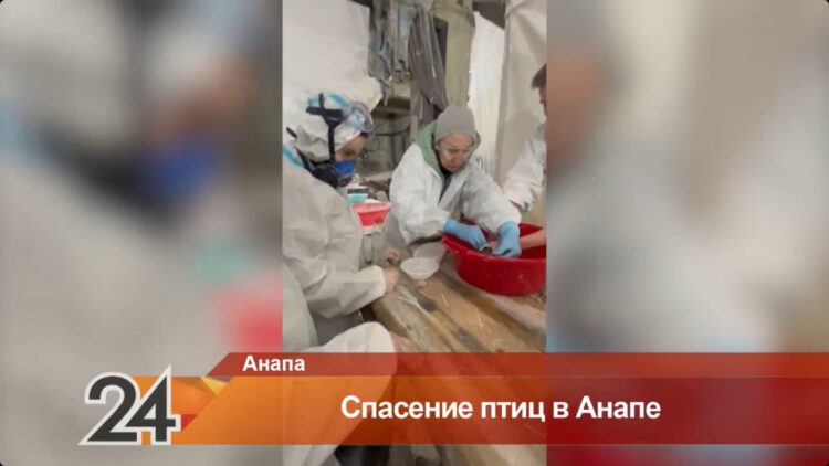 Фото: скрин из видео "Татарстан 24".