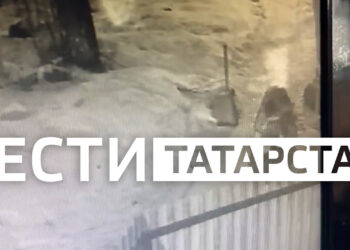 Появилось видео нападения на 17-летнюю школьницу в Казани