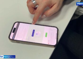 Татарстанцы смогут получать консультацию у специалистов МФЦ по видеосвязи