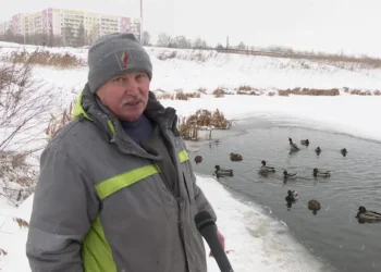 Нижнекамец обеспокоен судьбой диких уток на реке Омшанка