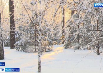 Татарстанцам рассказали, как долго продержатся морозы в республике