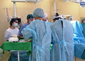 Ученые КФУ разрабатывают модели опухолей и обучают человеческие клетки бороться с раком