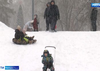 В Татарстане завели уголовное дело после нападения собак на женщину