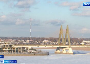 Татарстанцы смогут получать консультацию у специалистов МФЦ по видеосвязи