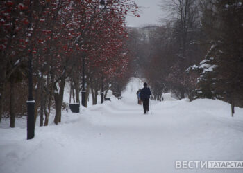 зимний парк