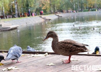 Куда сходить в Казани на выходных 9 и 10 августа