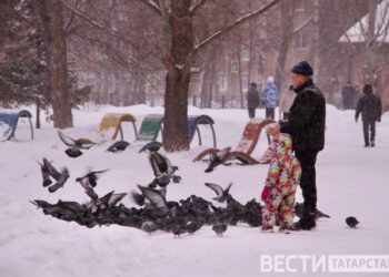 В Татарстане в Рождество ожидается до -15