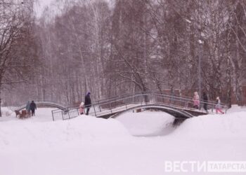 зимний парк