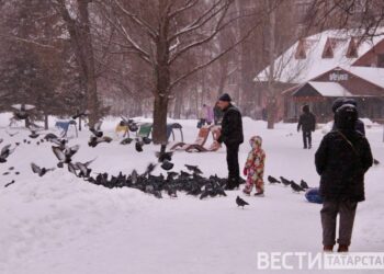В Татарстане в Рождество ожидается до -15
